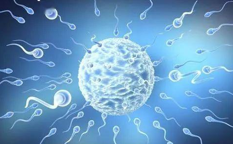 夫妻染色体正常，为什么胎儿会出现染色体异常