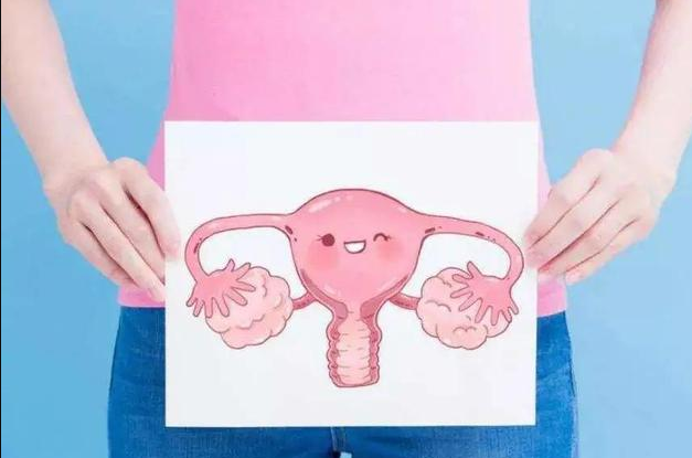 做试管婴儿要如何养好子宫内膜？