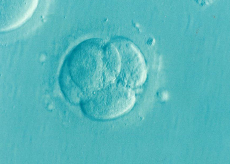 做试管婴儿胚胎评分很低，会不会容易出现畸形