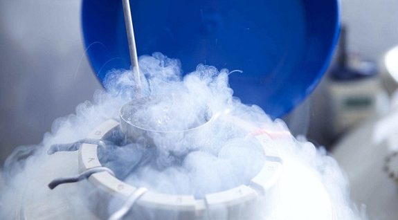 冻胚移植会降低试管婴儿成功率吗？
